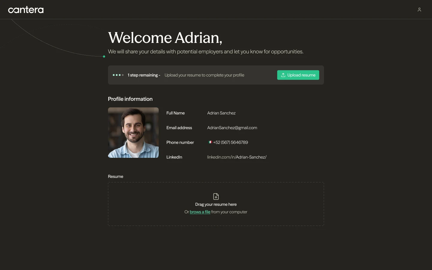 Candidate profile page in dark mode